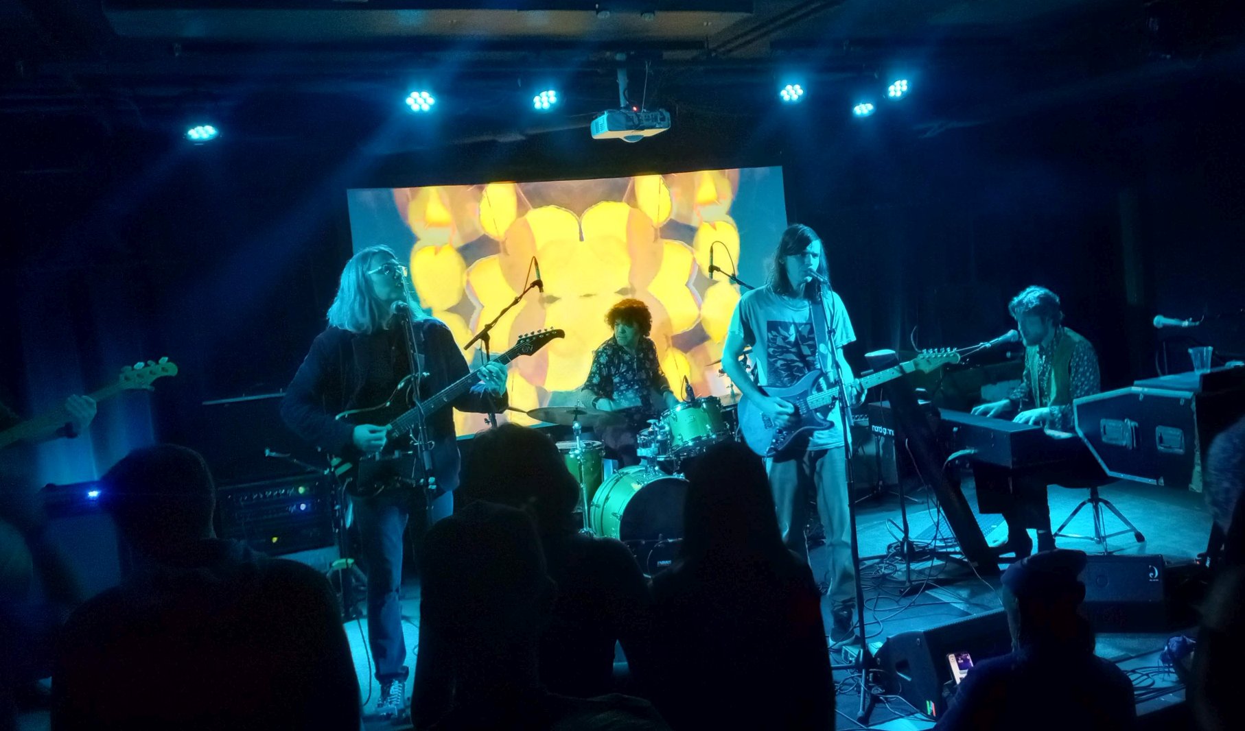 MindLeftBodyTheGiantsHarp2025-12-31GDTributeAmherstMA (3).jpg